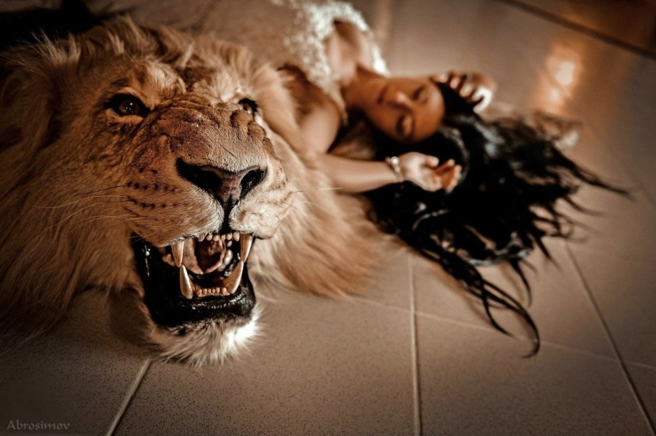 Фотосессия со львом