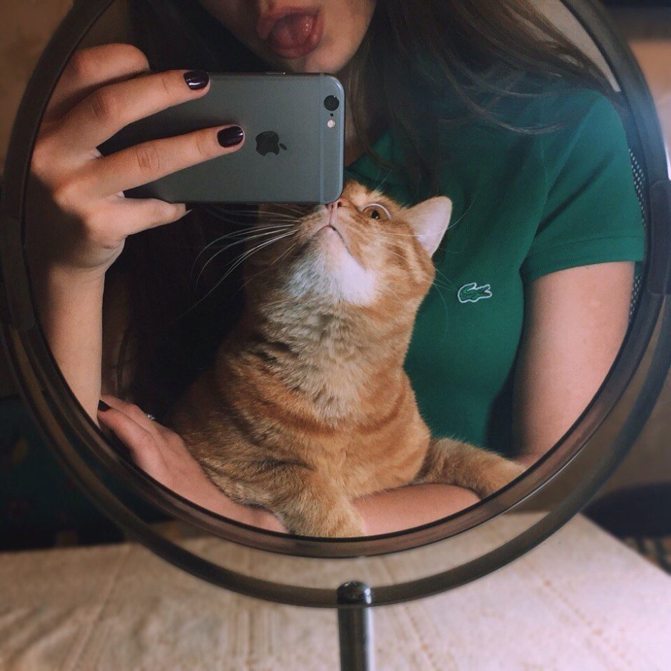 Девушка с котом селфи