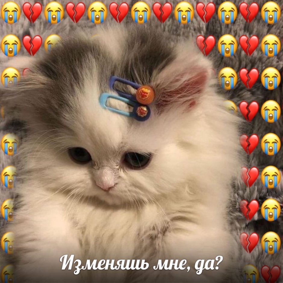 Котенок с заколкой