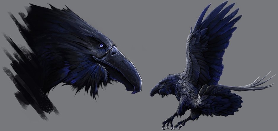 Valravn ворон