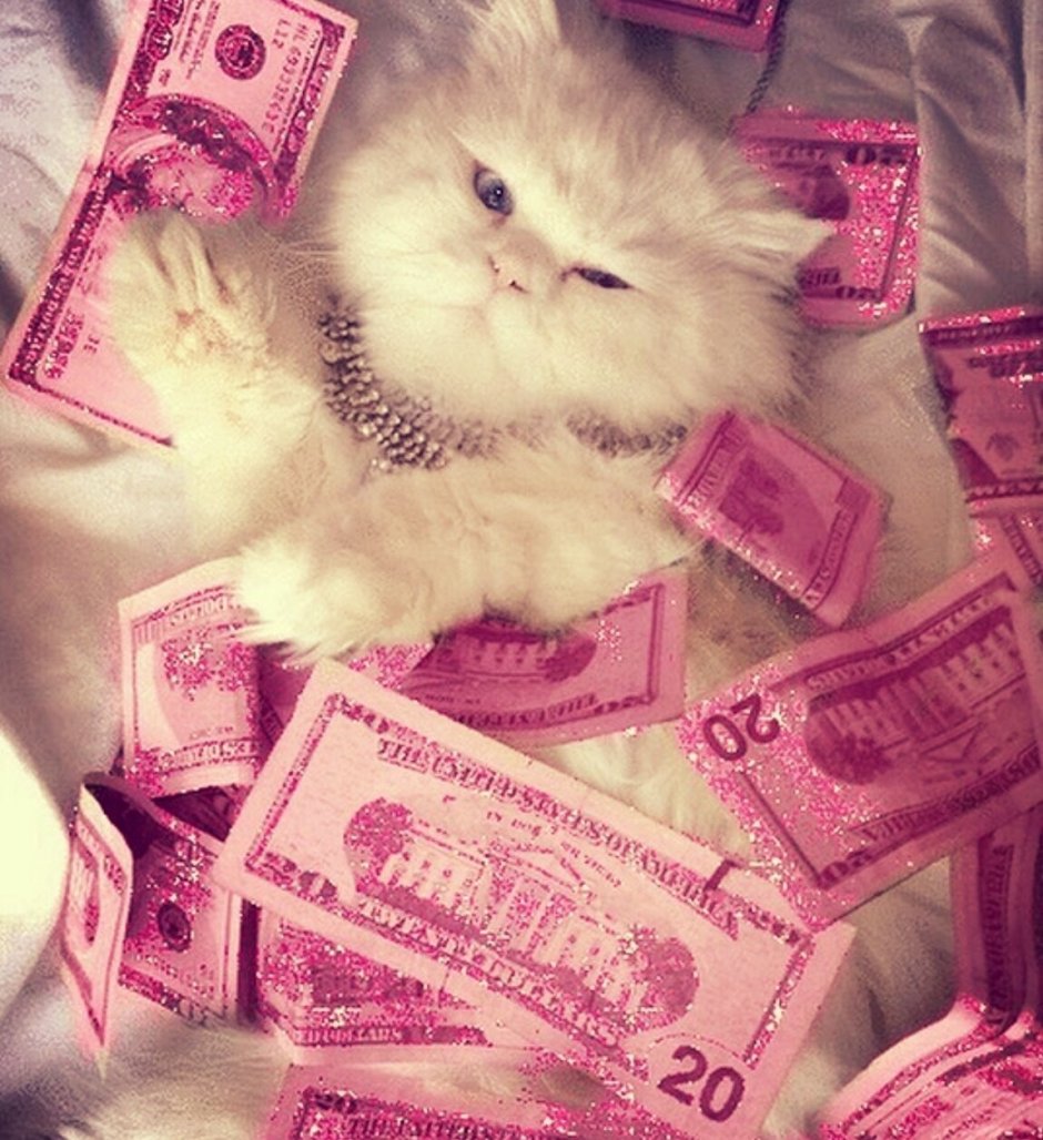 Розовые деньги Эстетика