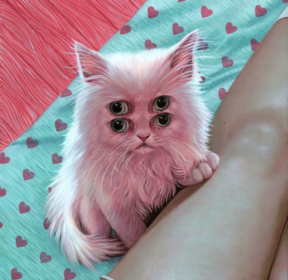 Розовый котенок