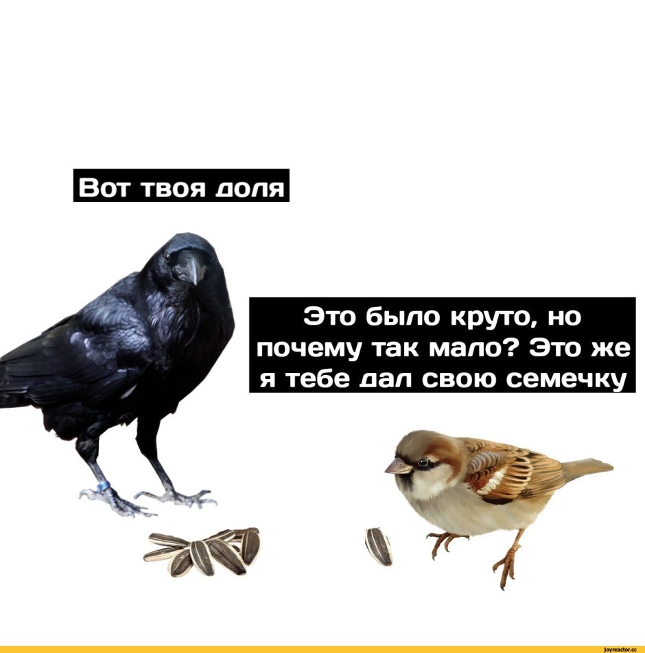 Воробей Воробушек Воробьишко