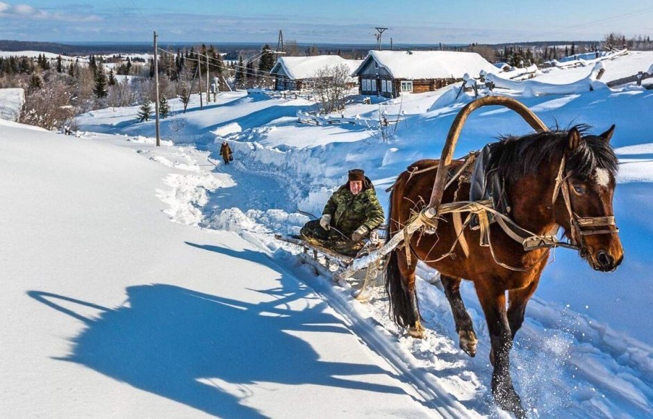 Деревня зима лошадь
