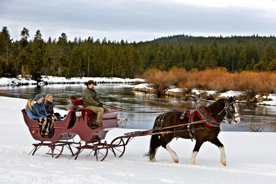 Ride in a Sleigh