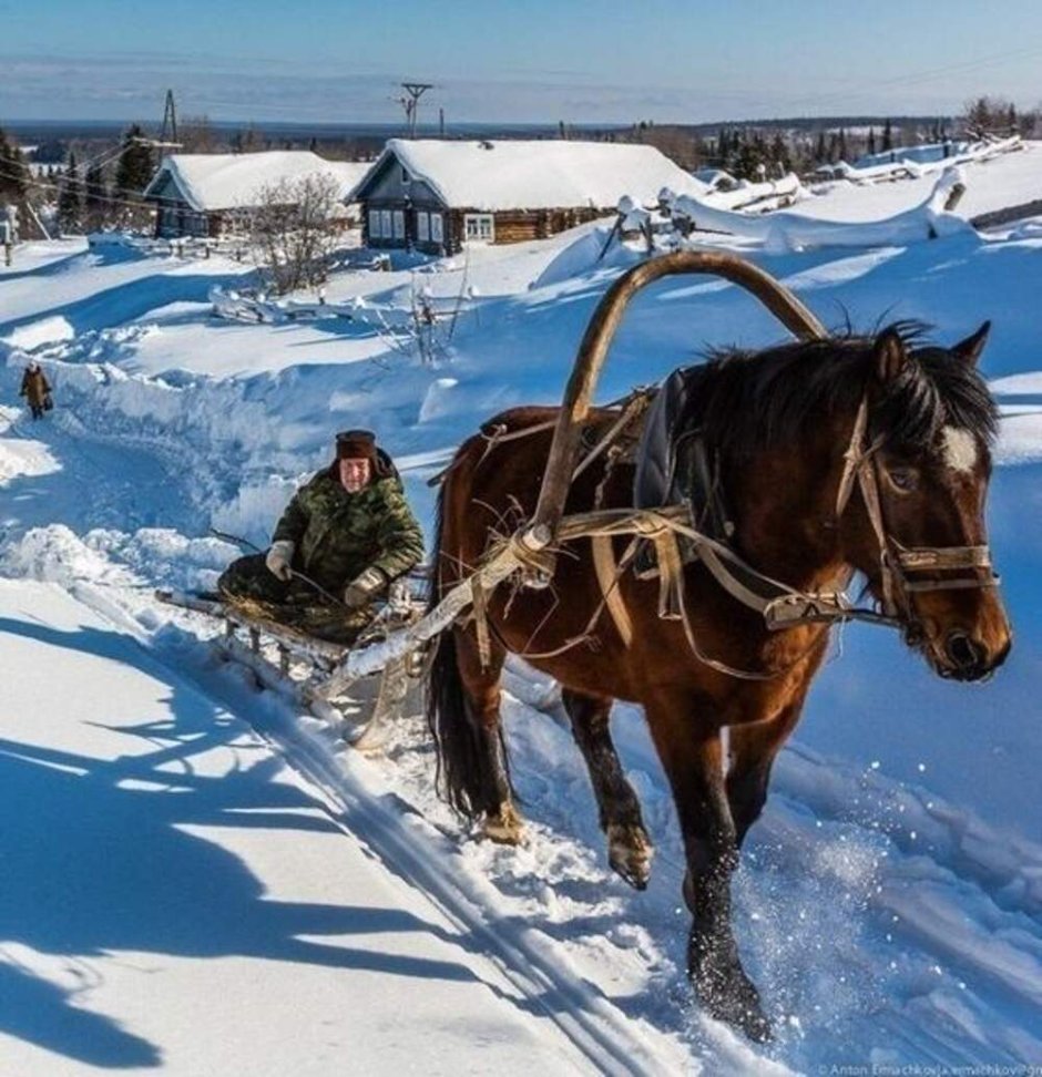 В деревне зимой лошадь с санями