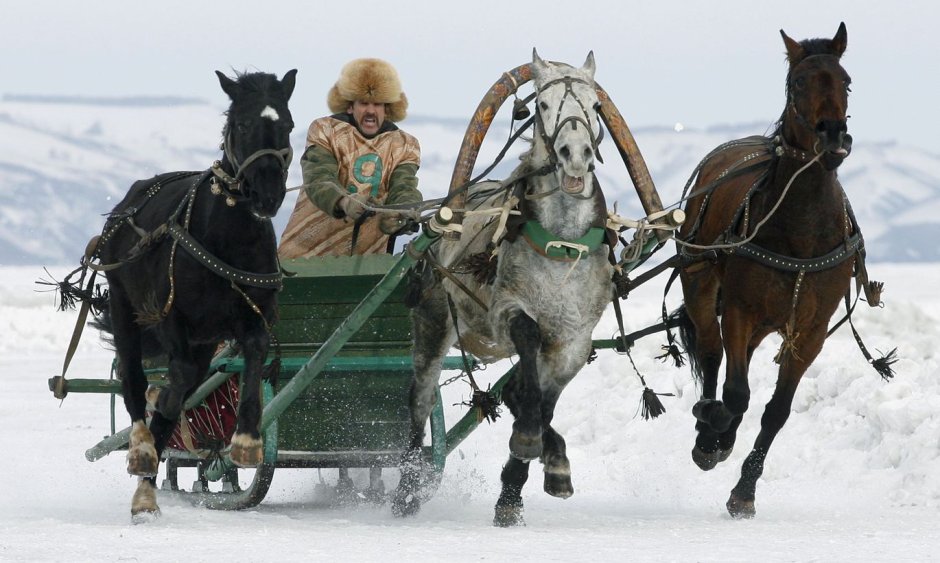 Сани упряжка
