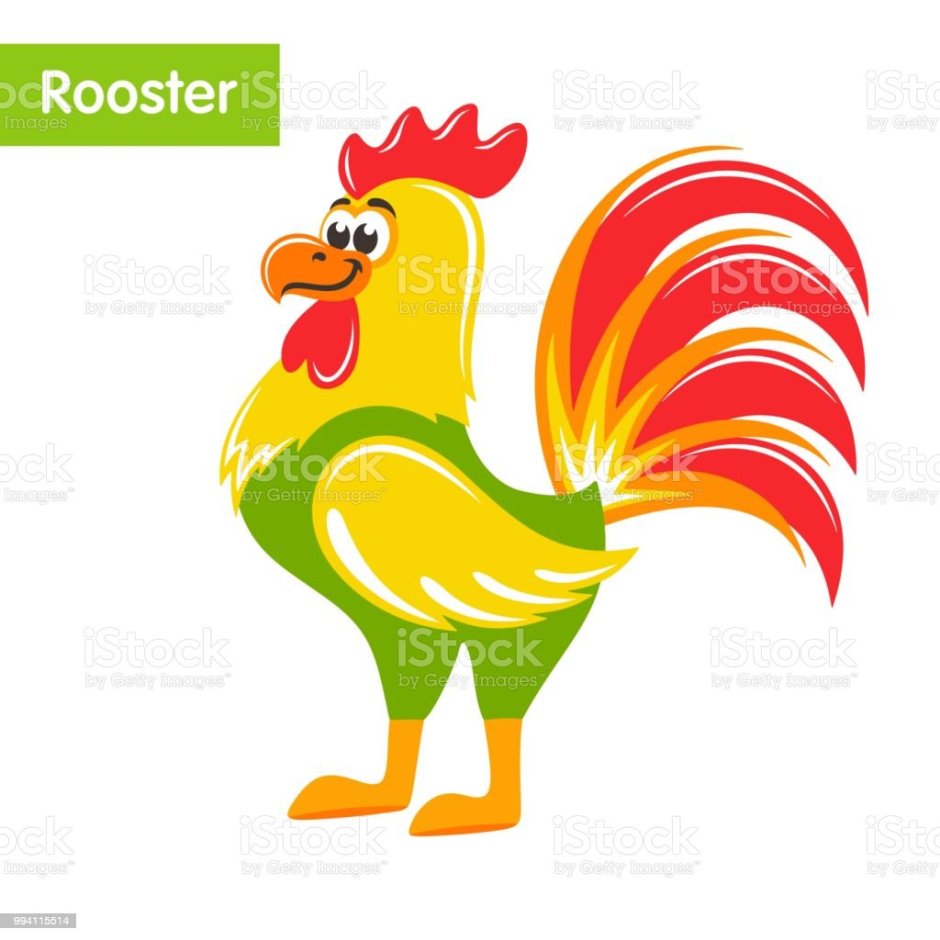 Декоративные породы кур Феникс