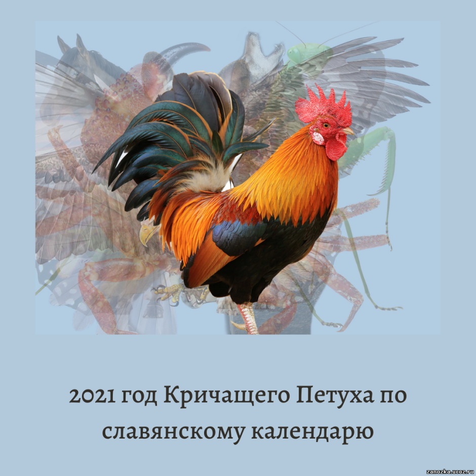 Костюм с перьями