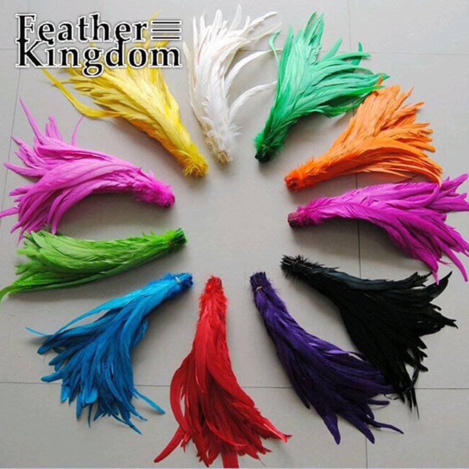 Разноцветные перья для петушиного хвоста