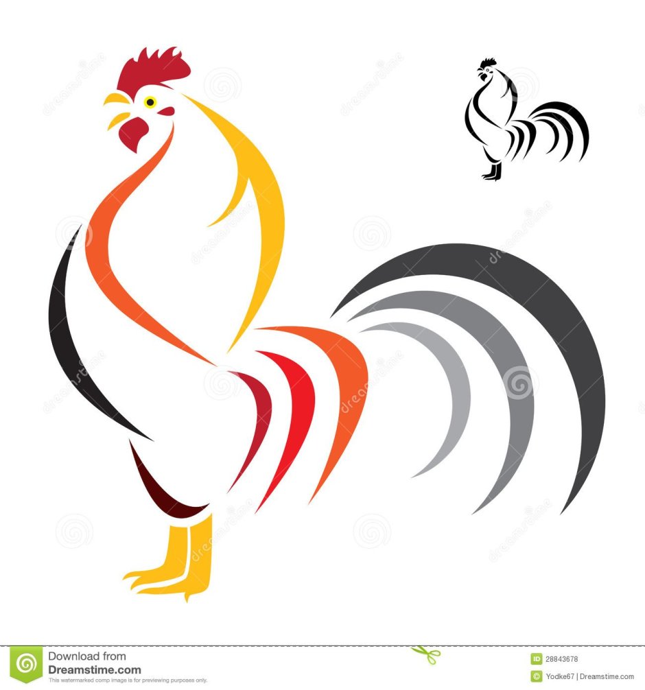 Денизли-петух птицы животные