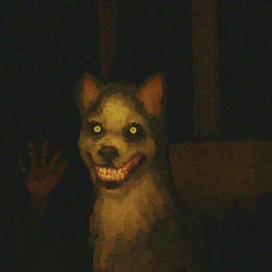 Чихуахуа злая и добрая