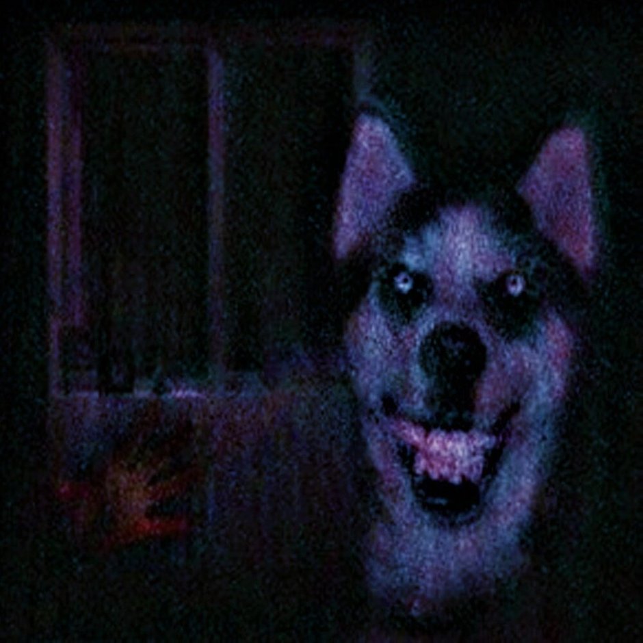 Смайл дог оригинал хаски