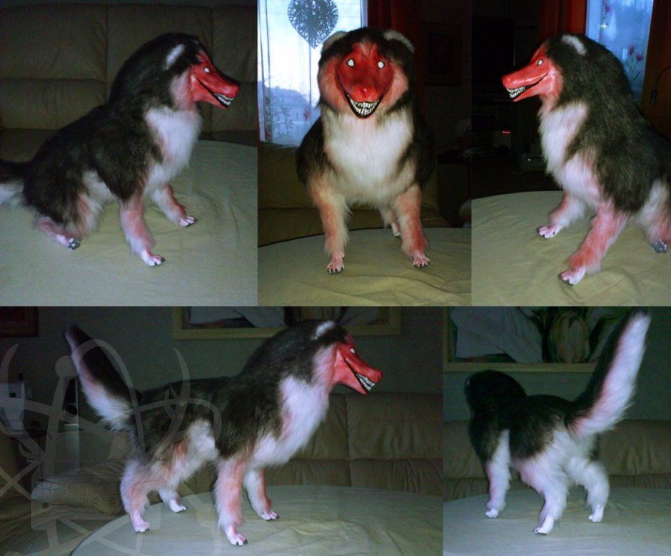 Смайл дог оригинал хаски