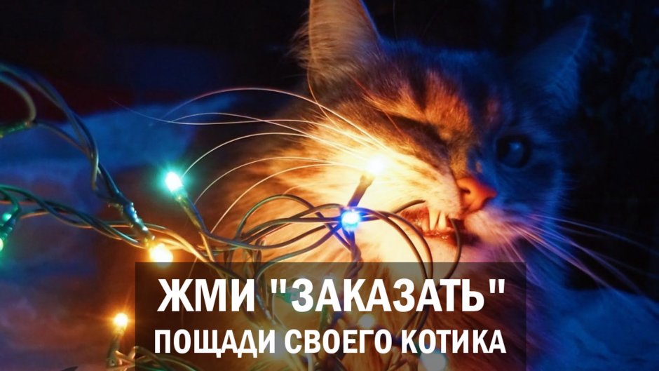 Гирлянда кошка