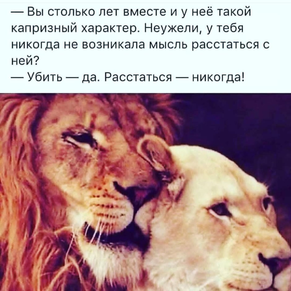 Животные любовь