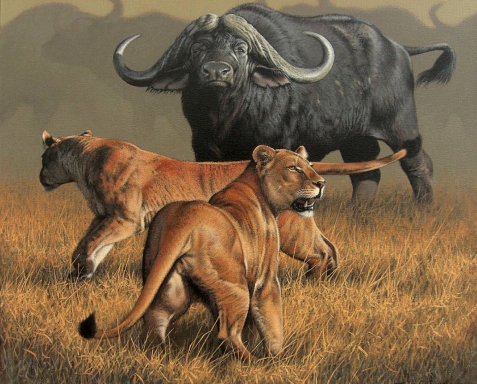 Охота на Львов