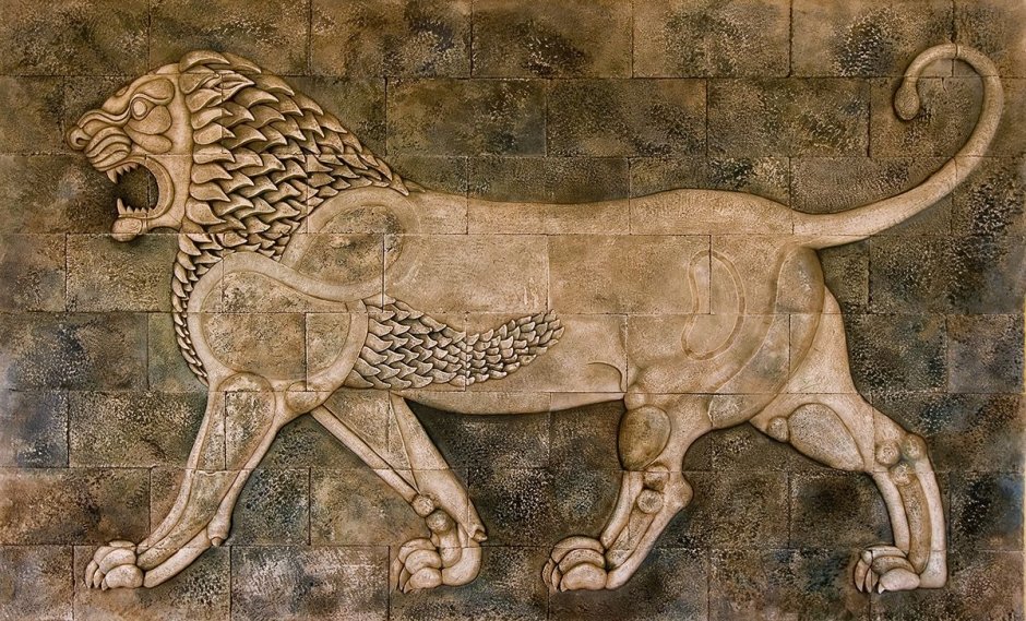 Львица референс анатомия