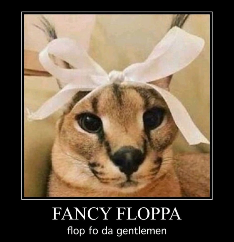 Флоппа Шлеппа