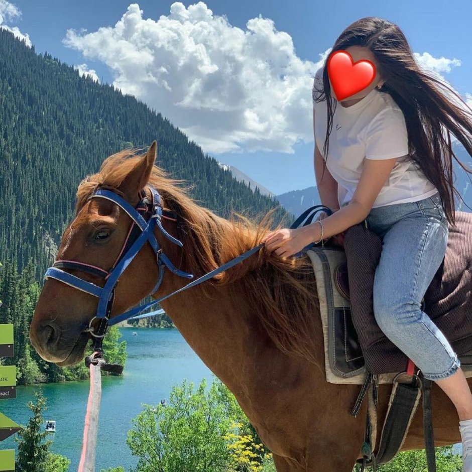 How to Play with Horses