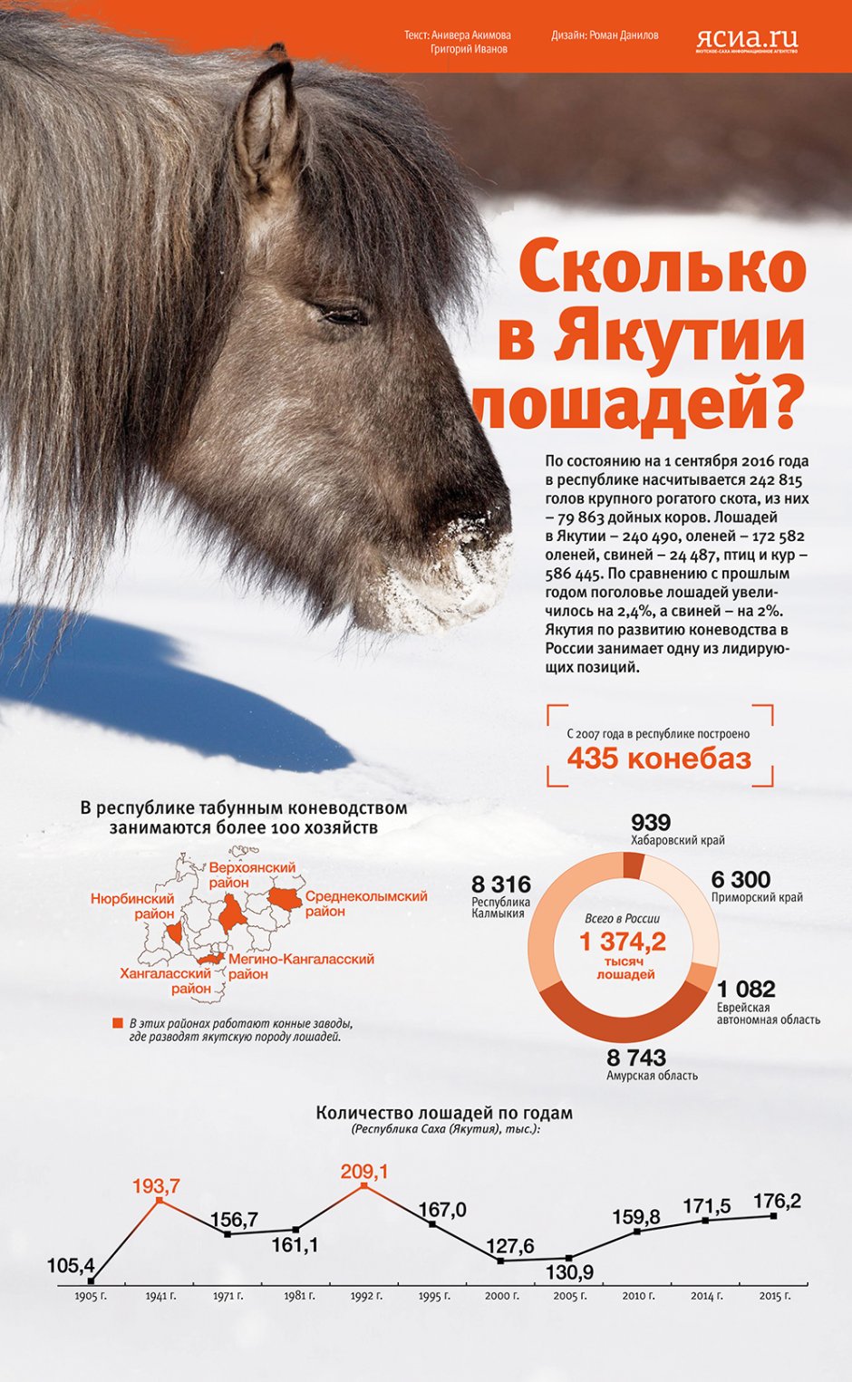 Порода Мустанг жеребенок