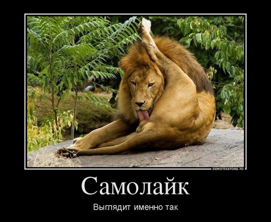 Лев толстой учебник литературы