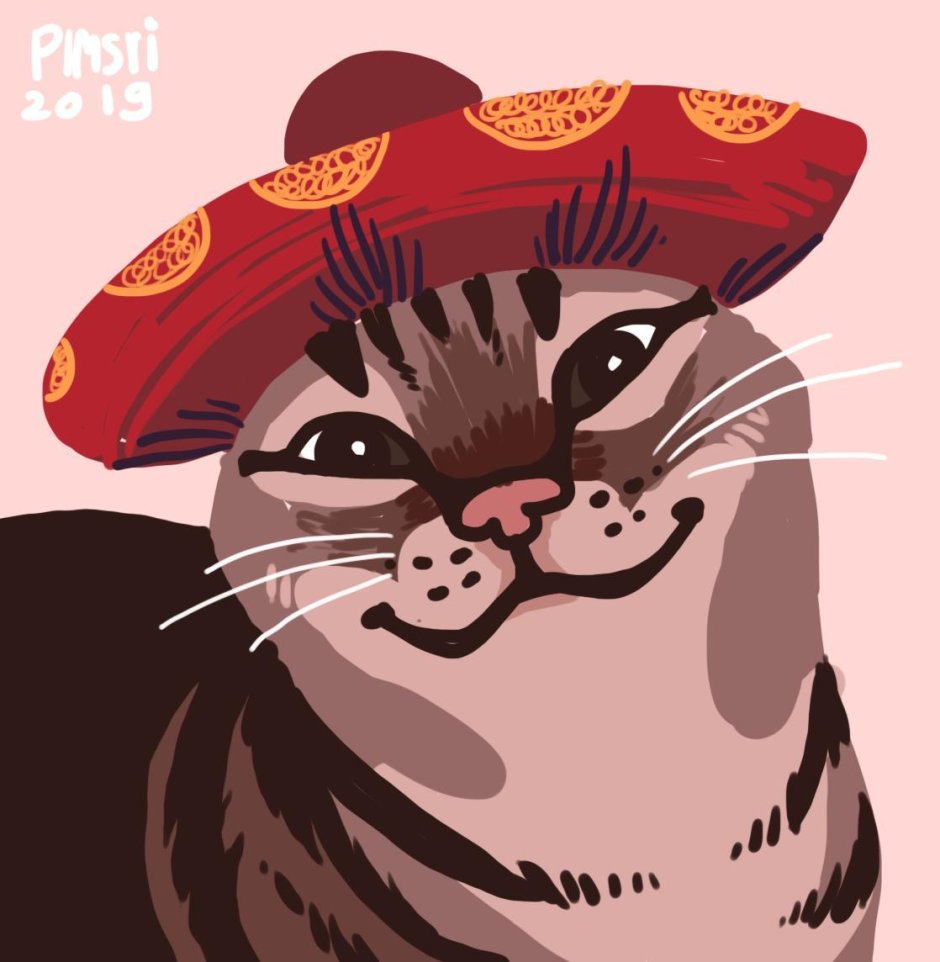 Мексиканский кот