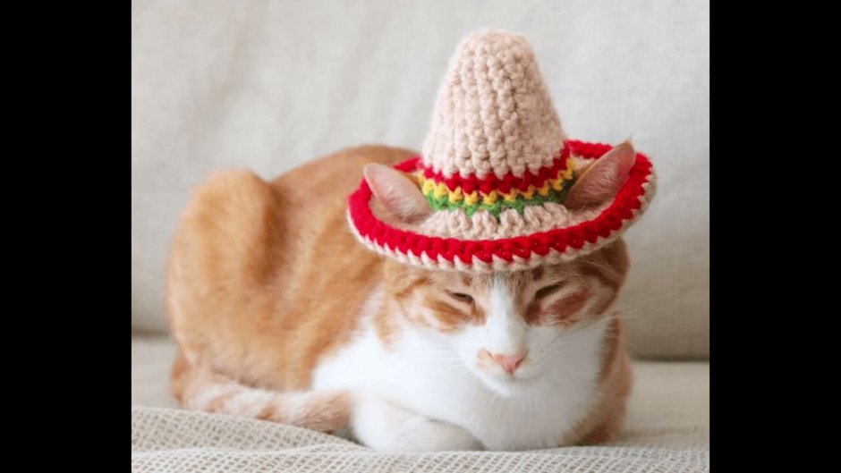 Crochet Cat hat