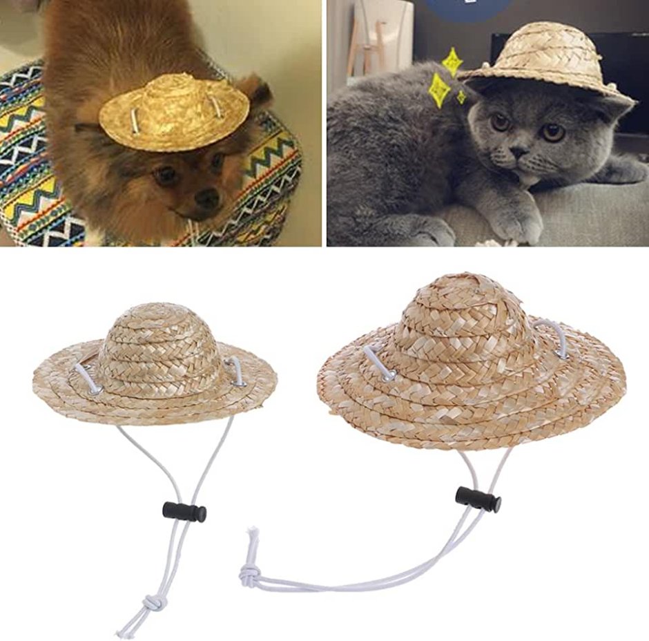Коты в ковбойских шляпах