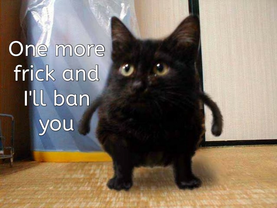 Всратые черные коты