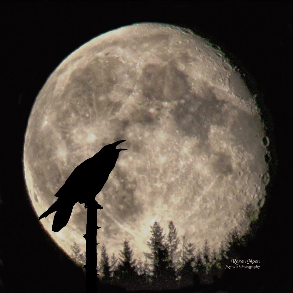 Ravens Moon