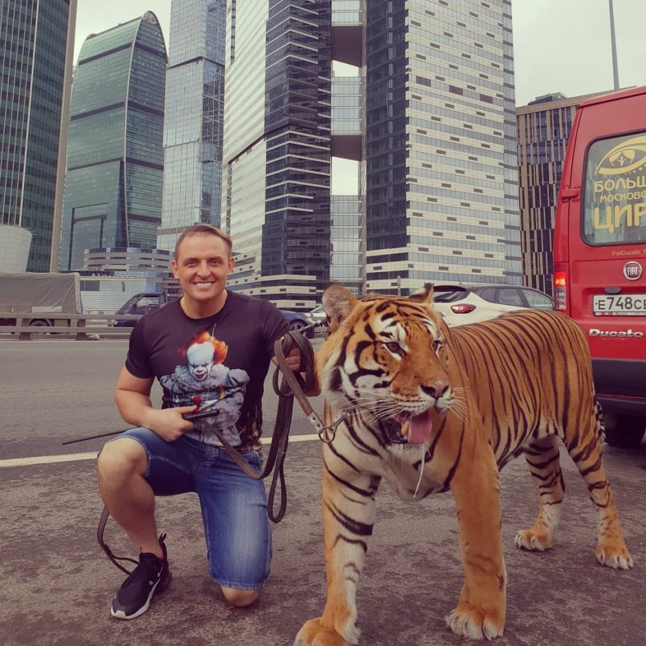 Запашные Аскольд тигр