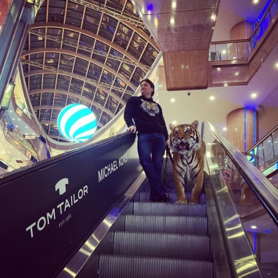 Тигр в торговом центре