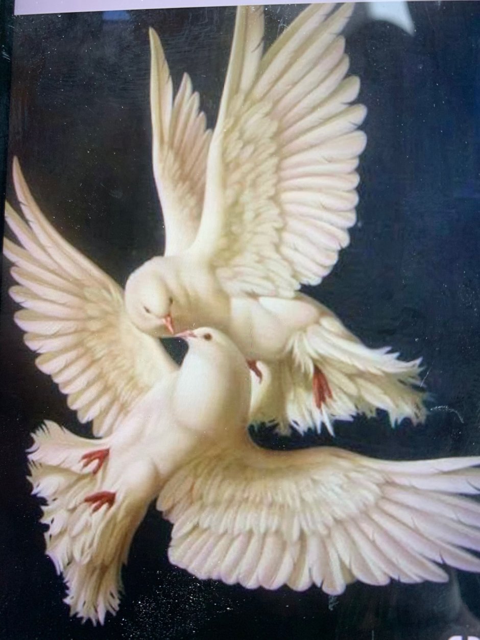 Banksy художник dove