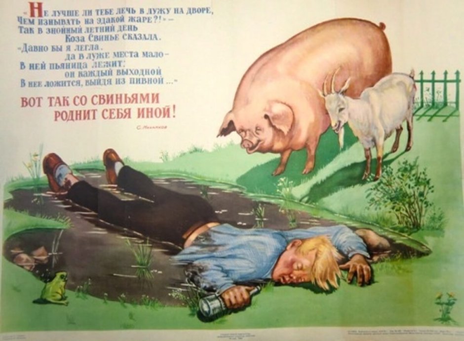 Кино лошадь красивая лошадь