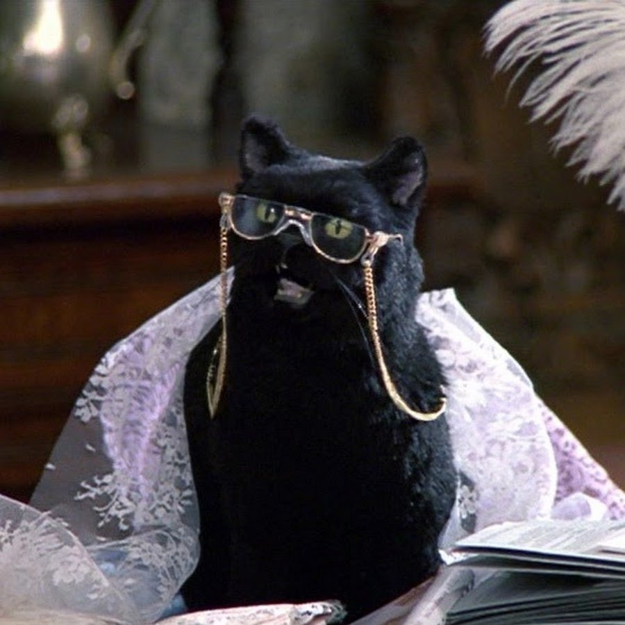 Сабрина маленькая ведьма кот Салем