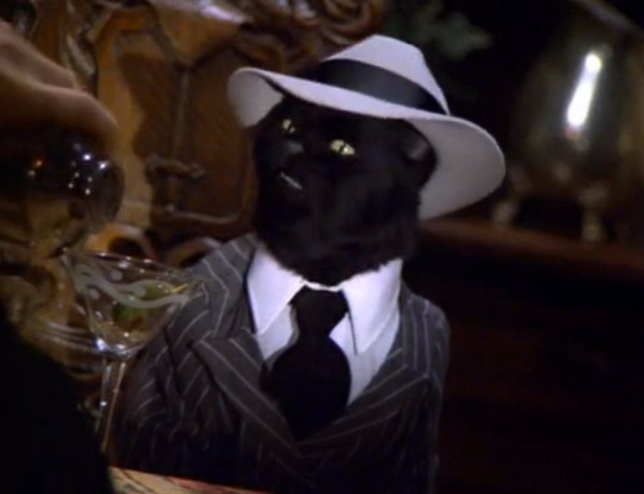 Плачущий кот Салем