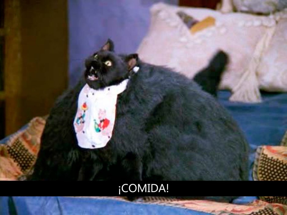 Сейлем кот Сабрина маленькая ведьма