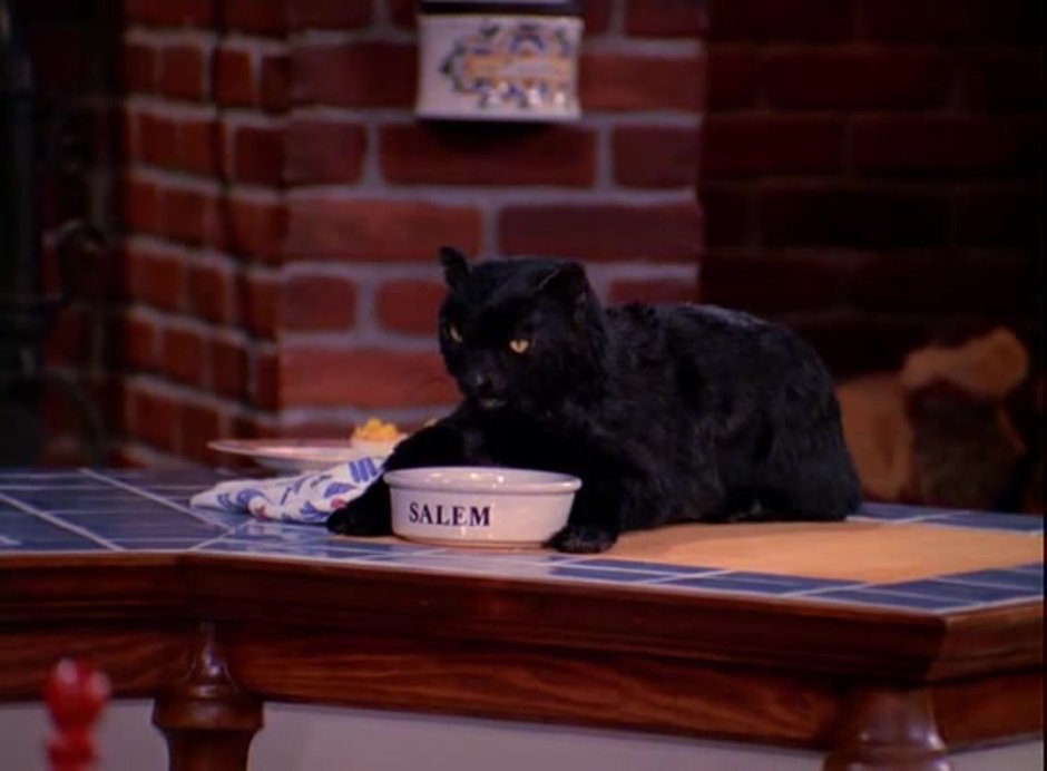 Сабрина маленькая ведьма Салем