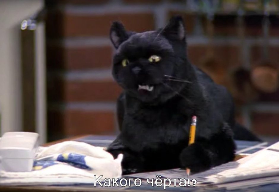 Сабрина маленькая ведьма кот Салем