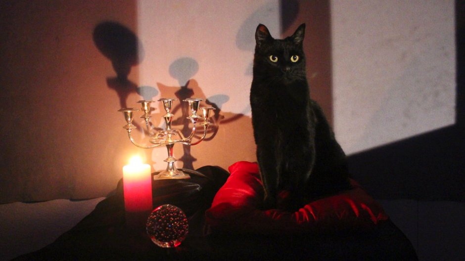 Сабрина маленькая ведьма Салем