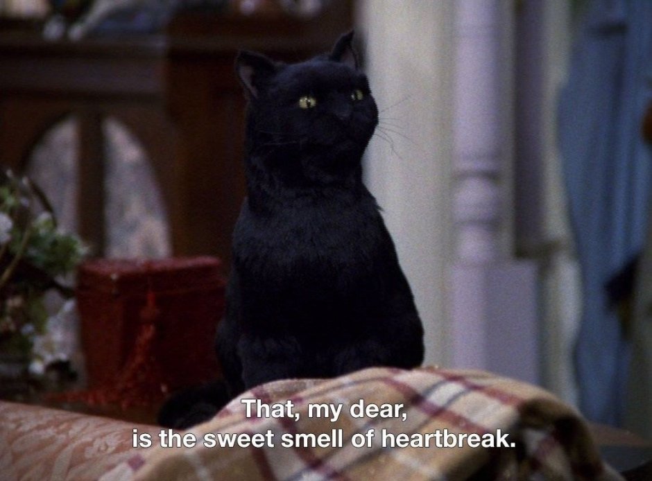 Сейлем кот Сабрина