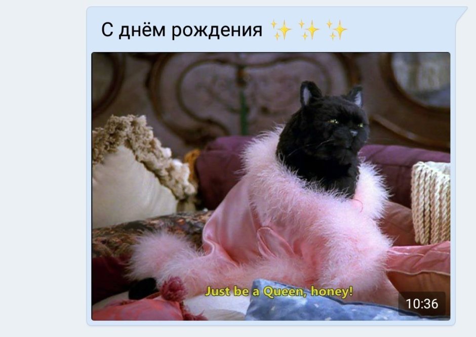 Кот Салем тут написано что ты