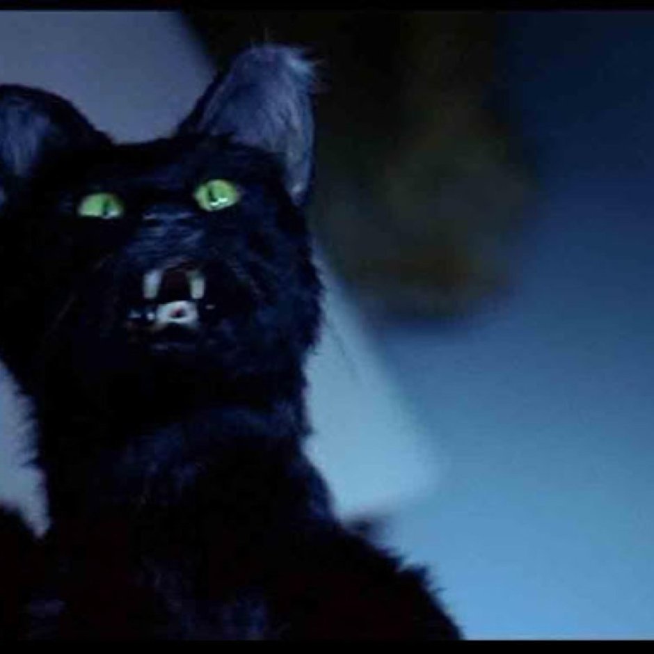 Сабрина маленькая ведьма Салем