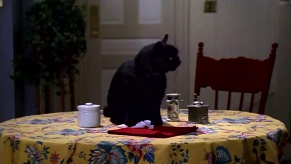 Сейлем Сабрина маленькая ведьма