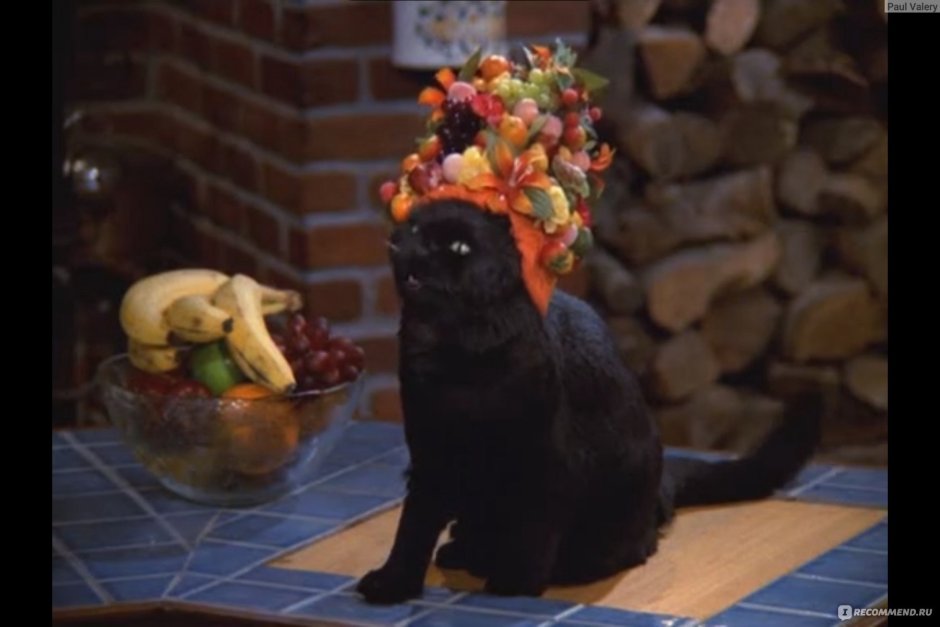 Сейлем Сабрина маленькая ведьма