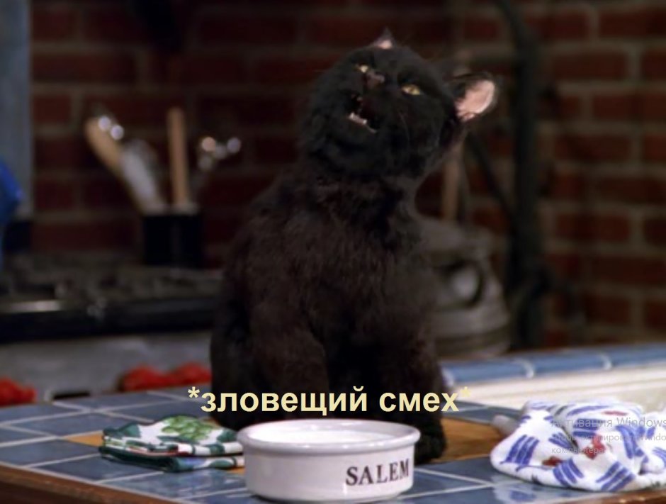 Очень страшное кино фильм 2 кот