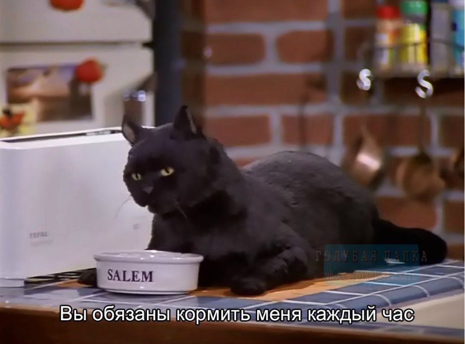 Сабрина маленькая ведьма Салем цитаты