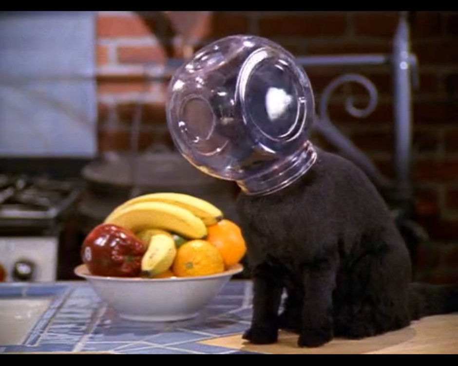 Черный кот из Сабрина маленькая ведьма