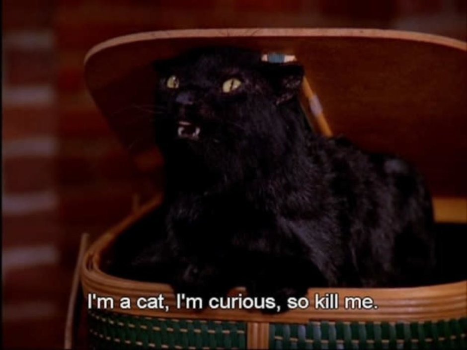 Сабрина маленькая ведьма Салем